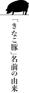 「きなこ豚」名前の由来