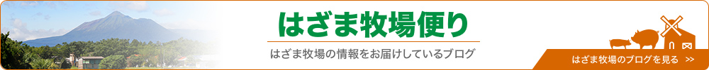 はざま牧場便り